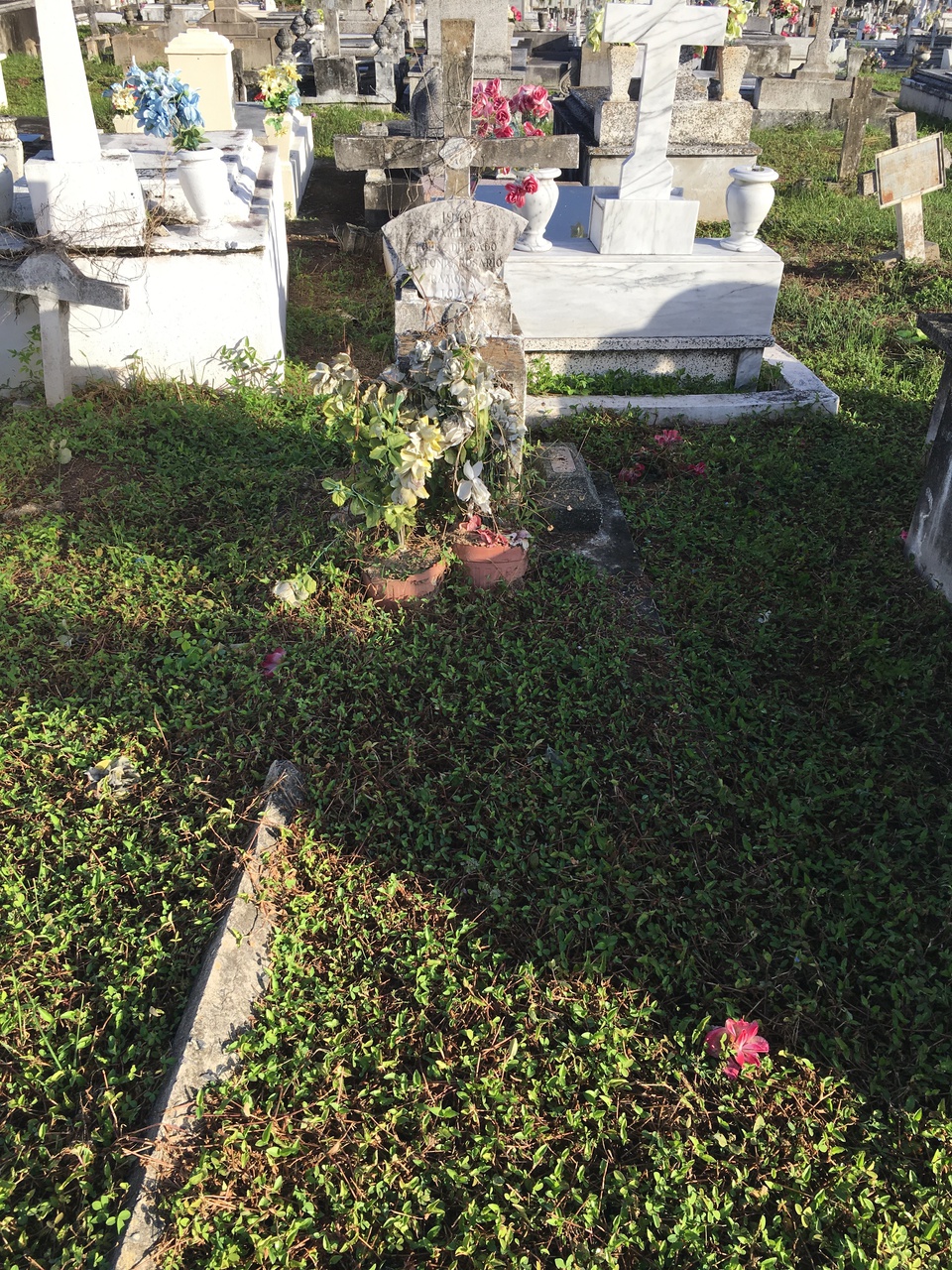 photo of grave